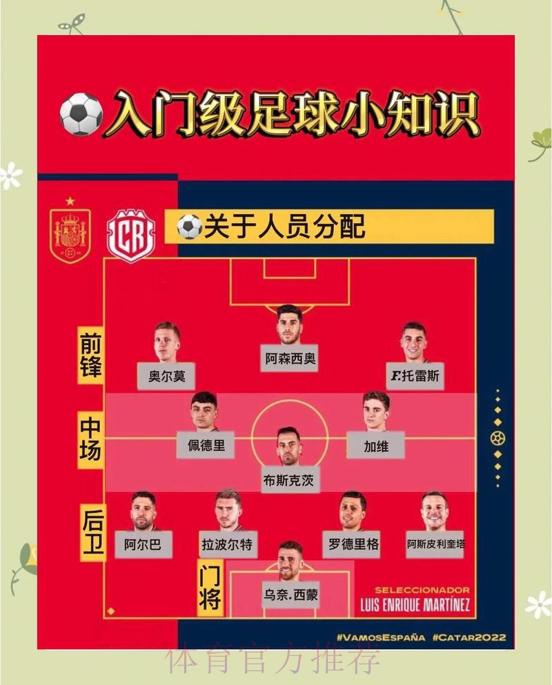 如何选择最佳世界杯外围官网：全面指南